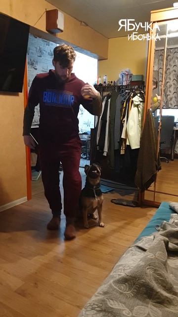 Танцы с собаками, пробуем свои силы