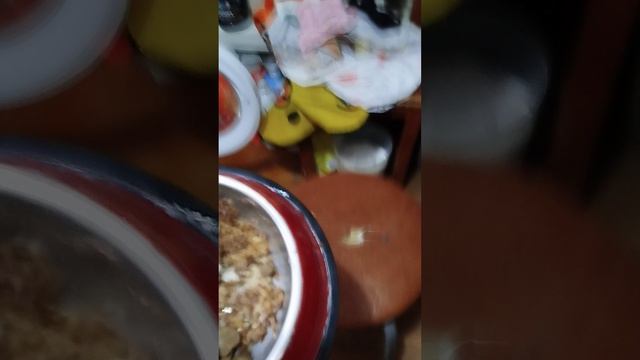 даю своим собакам вкусняшку за задание...