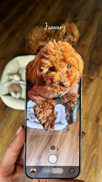 Как изменился за 7 месяцев ?