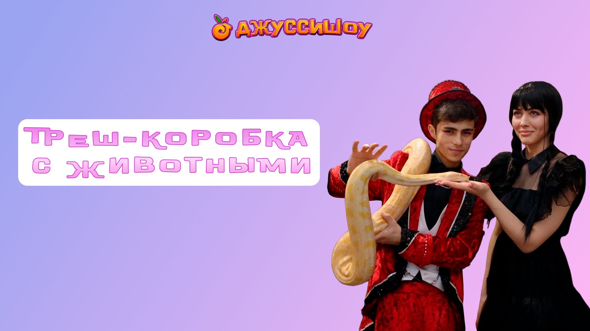 Треш-коробка с животными