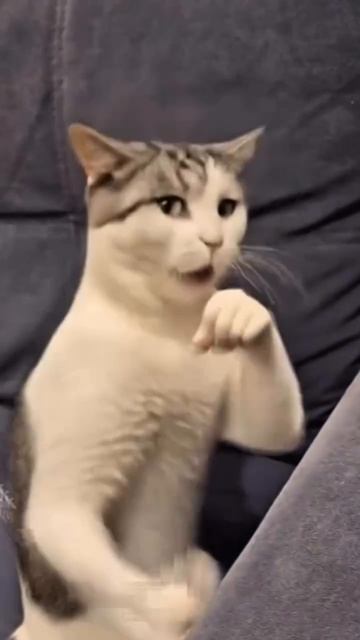 Лайк если было #морозовы #юмор #memes