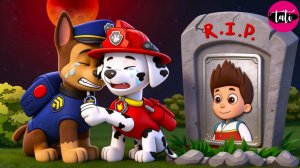 Щенячий патруль и Маршалл. Залипательное видео. Мультфильм для детей и малышей. Анимация 430