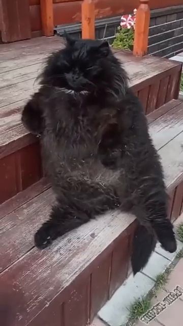 Чёрная дыра