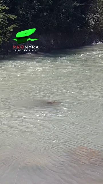 Кораблик Высоцкого ПРОНЫРА Краткая инструкция по применению поплавока PROnyra 2026 апрель. #кораблик