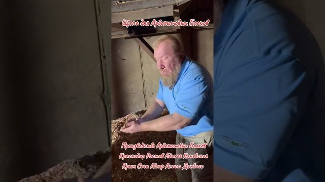 Производство Арболит Блока от Арболит Бороды, Строим Дома из Арболитовых Блоков, 89186922458