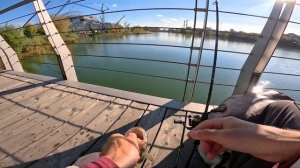 Ловлю толстых окуней! Трофейный микроджиг в центре Казани.