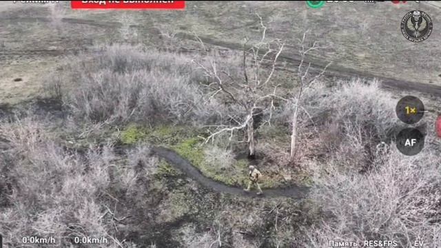 Война не отменяет жизни, она делает её другой.