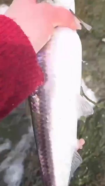 Путешествуй и зарабатывай вместе с нами 🌏