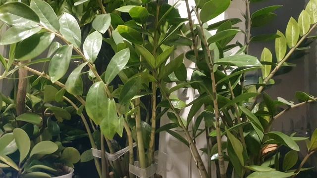 Ничего от весны мне не надо...