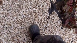 minecraft реальная жизнь 8 серия новый мир?