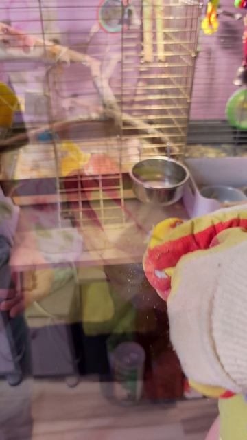 Видео-отзыв на 