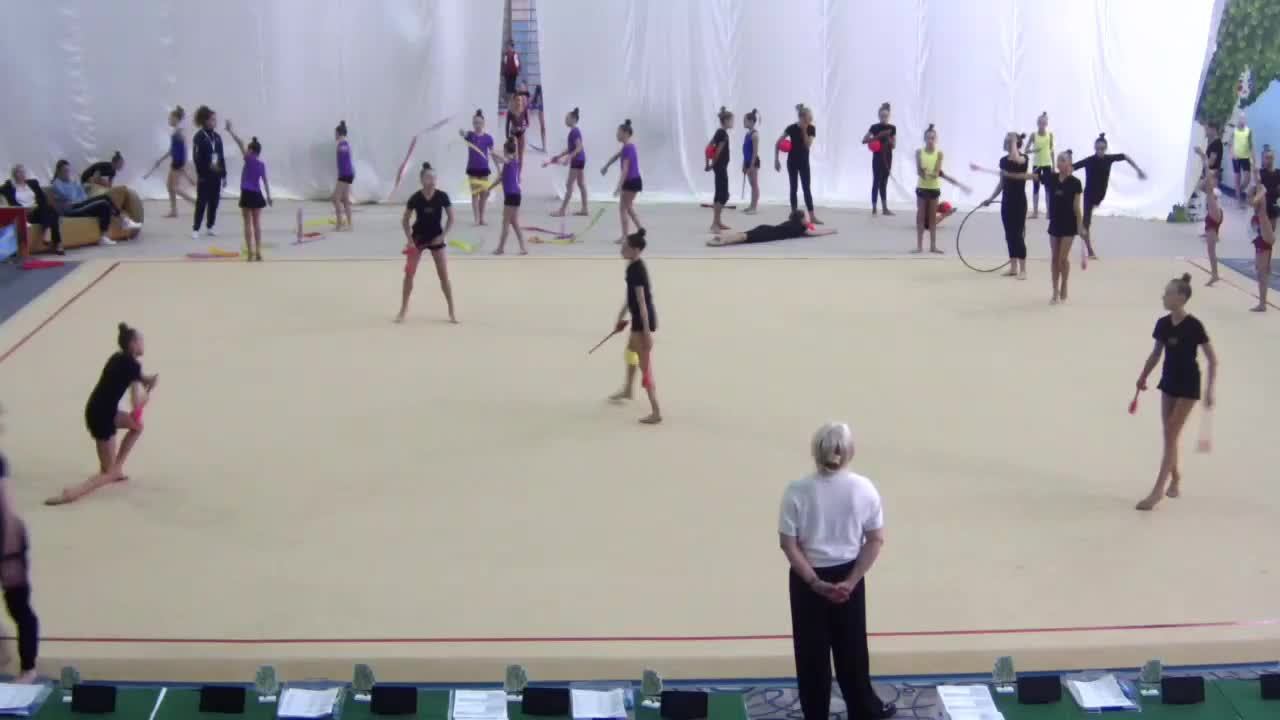 ВСЕРОССИЙСКИЕ СОРЕВНОВАНИЯ «БЕРЕЗКА» ПО ХУДОЖЕСТВЕННОЙ ГИМНАСТИКЕ