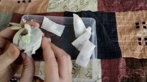 Распаковка. 21.04.2026г.