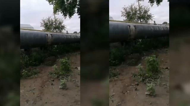 Поездка по мостам и мостикам р. Тула, Новосибирск.