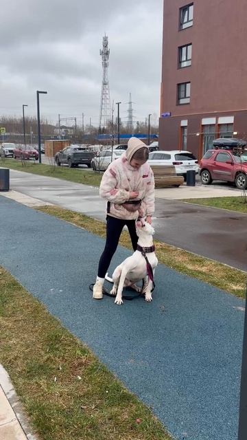 Балуша демонстрирует чему научился дома ))