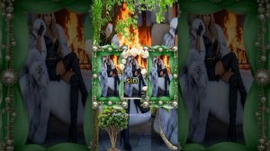 Упал бокал на хрустальный пол. 💖 💖 💖