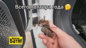 Срочно проверь у себя.