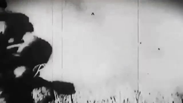 ПЕСНИ И СТИХИ , ПОСВЯЩЕННЫЕ СВО