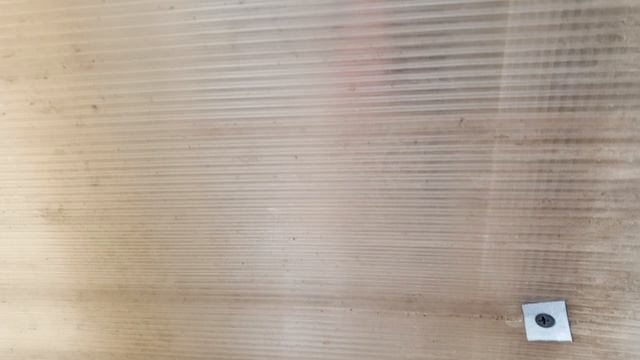 занимаемся рассадой в теплице