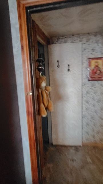 Тула, ул. Новомосковская, 25