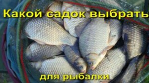 Какой садок выбрать для рыбалки ?