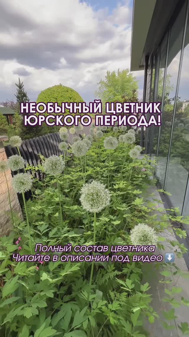 Теневой цветник