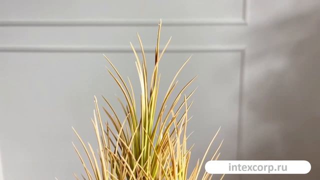 Искусственное растение в горшке АКОРУС, горчичный, 25 см, 5010095