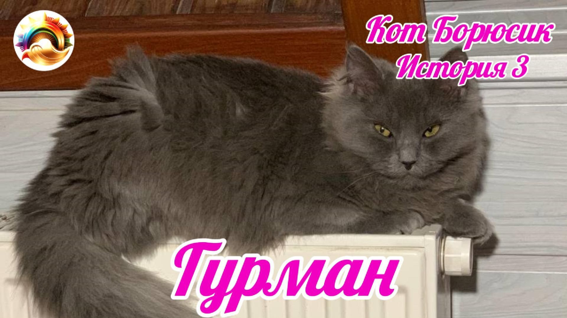 Кот Борюсик История 3. Гурман