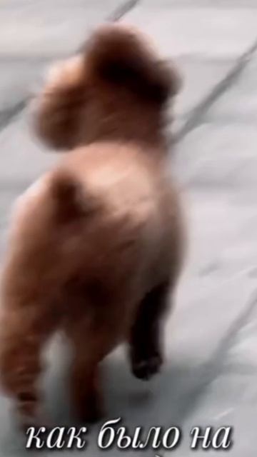 Макраме никого не оставит равнодушным 😀