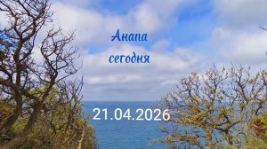 Анапа Сегодня 21.04.2026