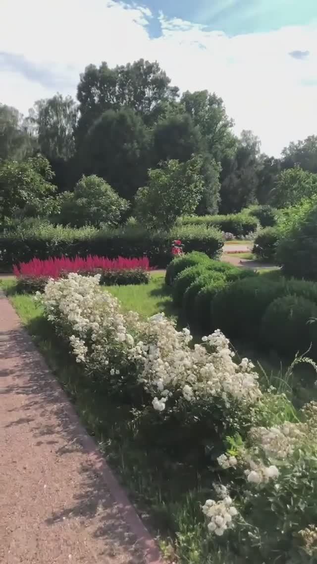 Сочетание форм и цветов в ландшафтной посадке в парке 