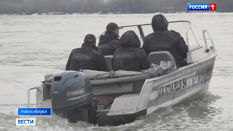 В Новосибирской области усилили борьбу с браконьерами во время нереста
