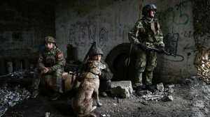 Новости Украины: ЭТО НАДО СЛЫШАТЬ! Сумы срочно эвакуировать