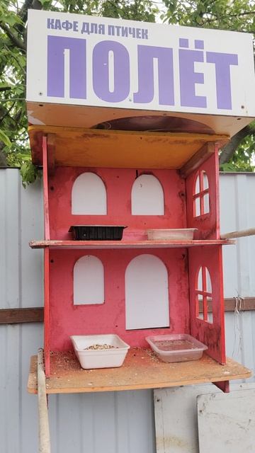 Птичкам тоже нравятся вкусняшки.