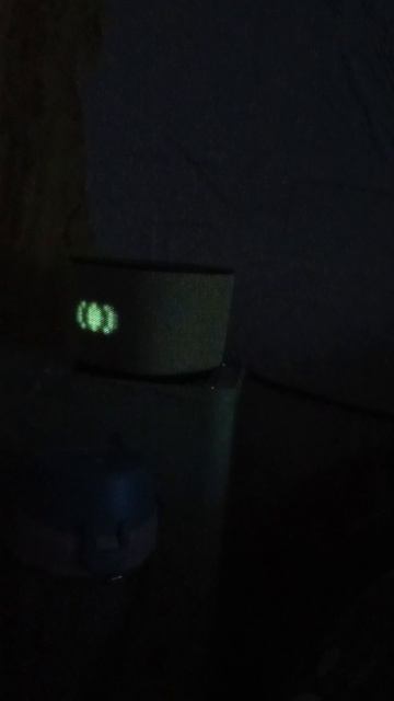 Алиса ИИ. Искусственная Идиотка.