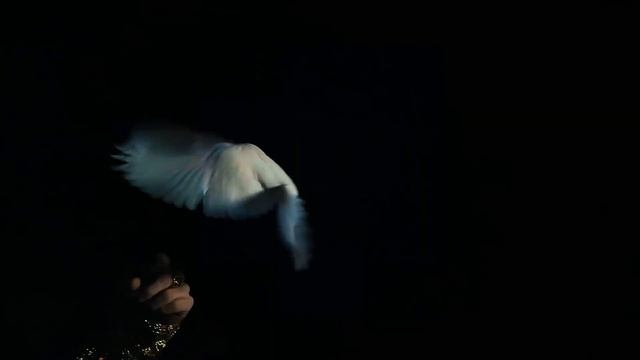 Фокусник  Аладдин