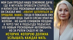 Истории из жизни|Сын продал семейную дачу|Аудио рассказы|Аудиокниги слушать онлайн|Жизненные истории