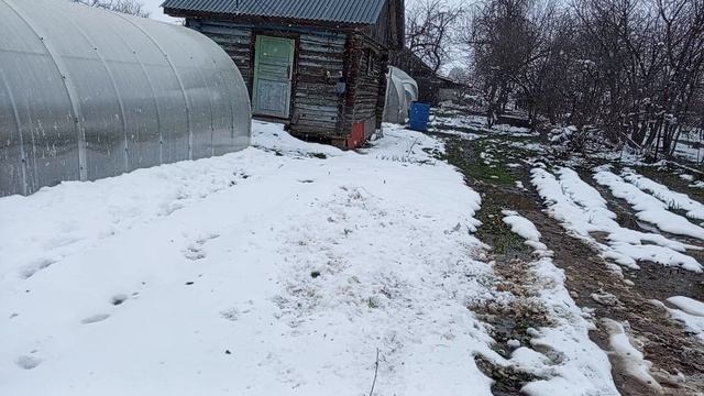 НАШ ЗАСНЕЖЕННЫЙ ДВОР  22 АПРЕЛЯ.