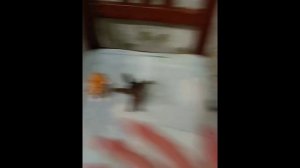 2 ЧАСТЬ ФИЛЬМА: "РОКСИ И МЕСТЬ"!