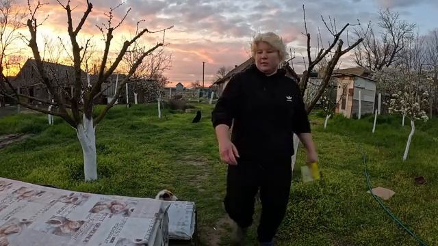 Наталья Губарева. ПОСАДИЛА КАБАЧКИ ⧸ ЖИЗНЬ В ДЕРЕВНЕ