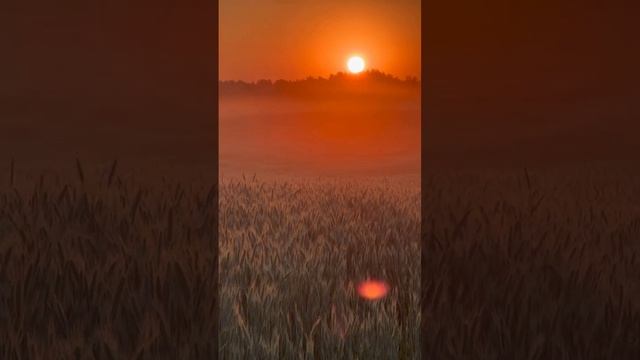 DuracellNK - У окна девчонка горевала...