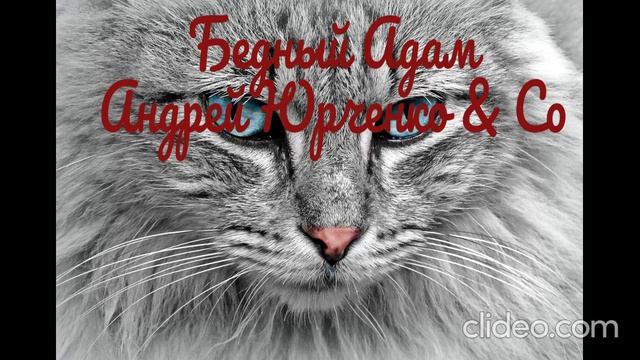 Бедный Адам. Андрей Юрченко & Co