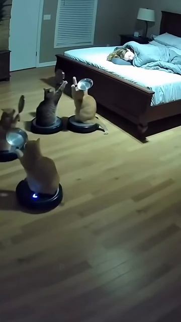 РЫЦАРИ НОЧИ нейросеть