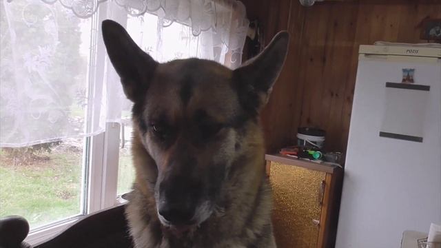 Мой фильм   Вот как то так!