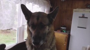 Мой фильм   Вот как то так!