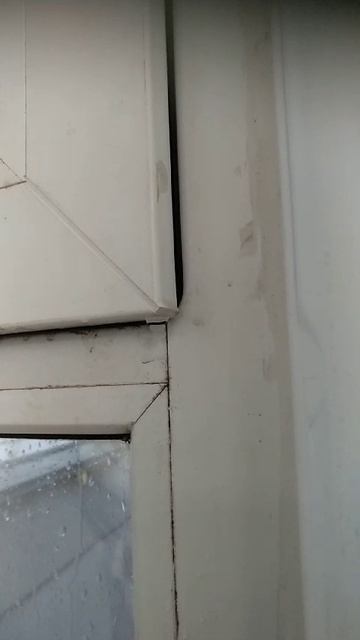 Окна плачут, если их не обслуживают.(с.) ОкнаПро74