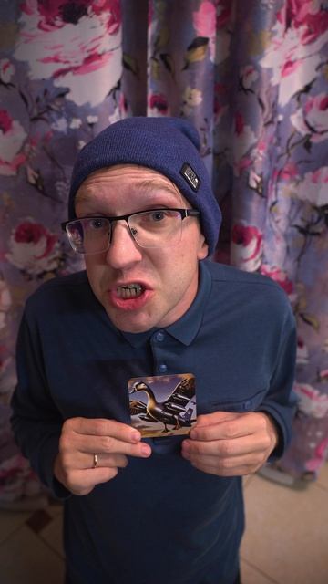 ЖЕНЬКА и ЛЮБИМЫЕ ИТАЛЬЯНСКИЕ ЖИВОТНЫЕ