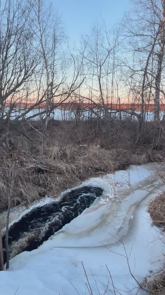 Журчат ручьи🌿Весна