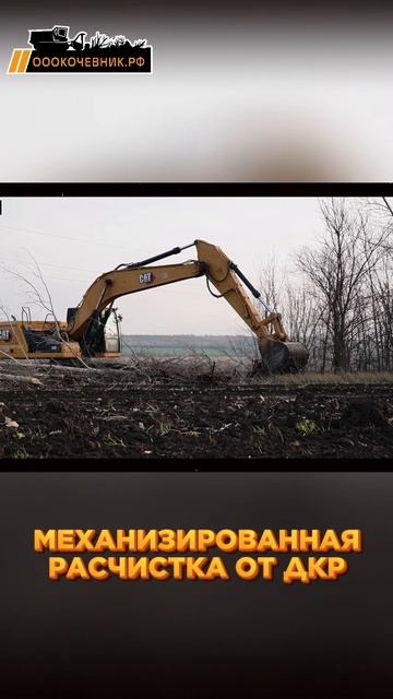 ✨ Компания 