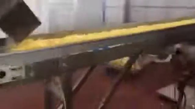 Весовой дозатор для овощей и фруктов Вега/Vega XL 600